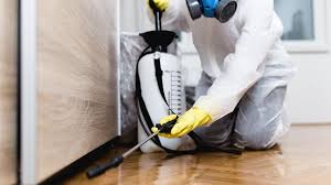 Best Pest Exclusion Services  in Florence, TX